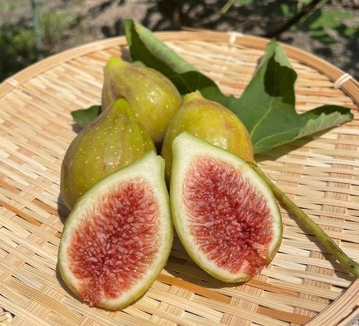 商品紹介 | 愛媛県今治市の米農家ならPINZA FARM